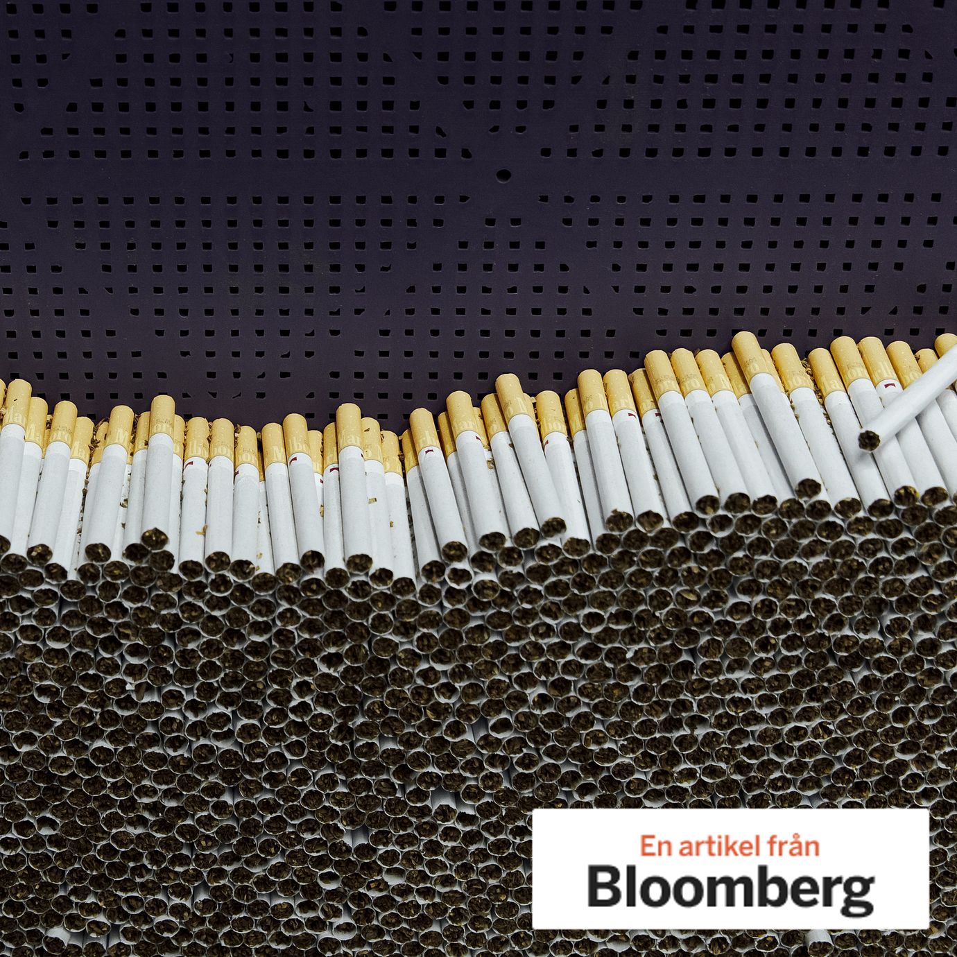The clandestine factory could produce as many as a million cigarettes each day.