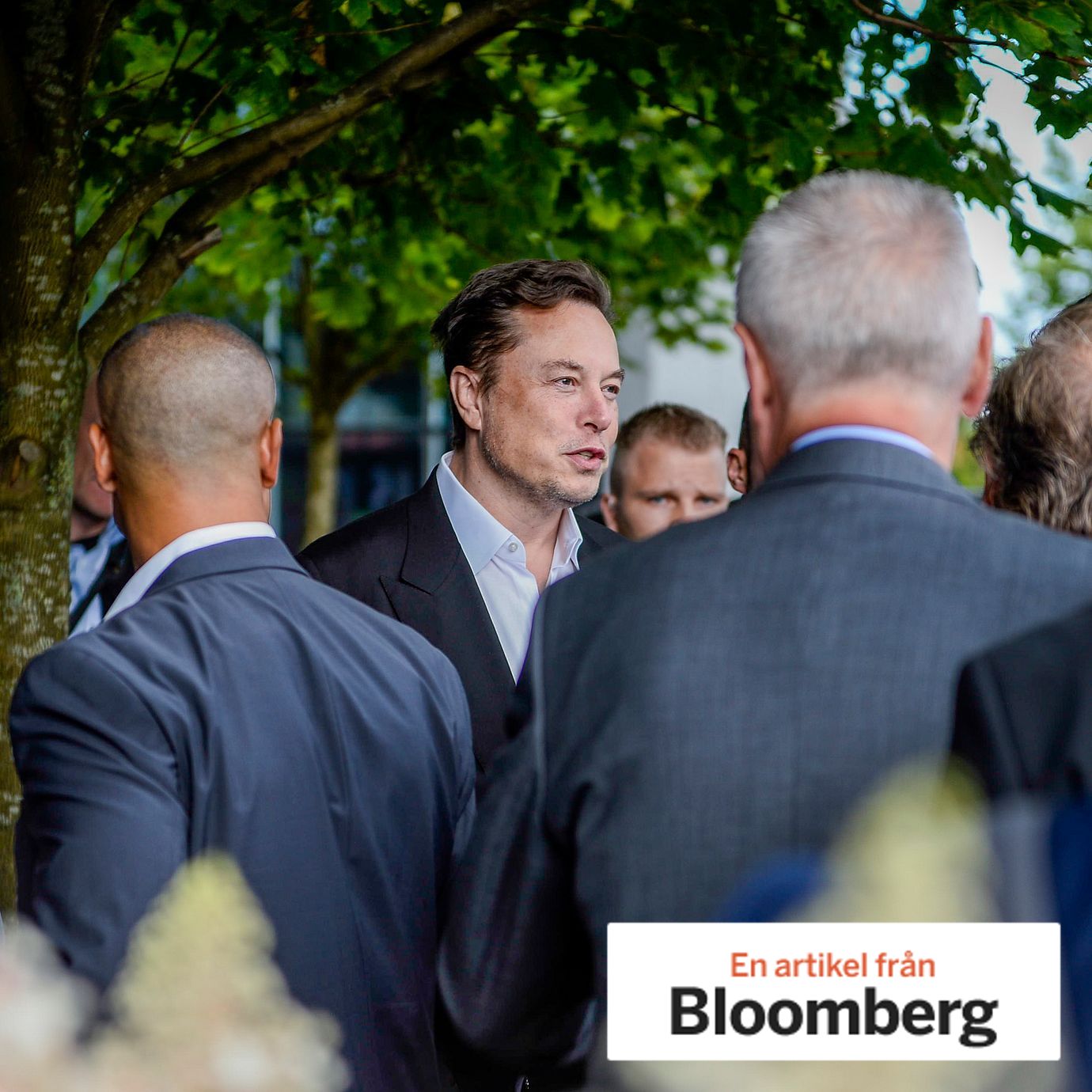 Teslas CEO Elon Musk
