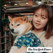 Yuno brought Noah, her 5-year-old Shiba Inu, to the Kamegaoka Hachiman Shrine to get the blessing in Tokyo on November 18, 2025.