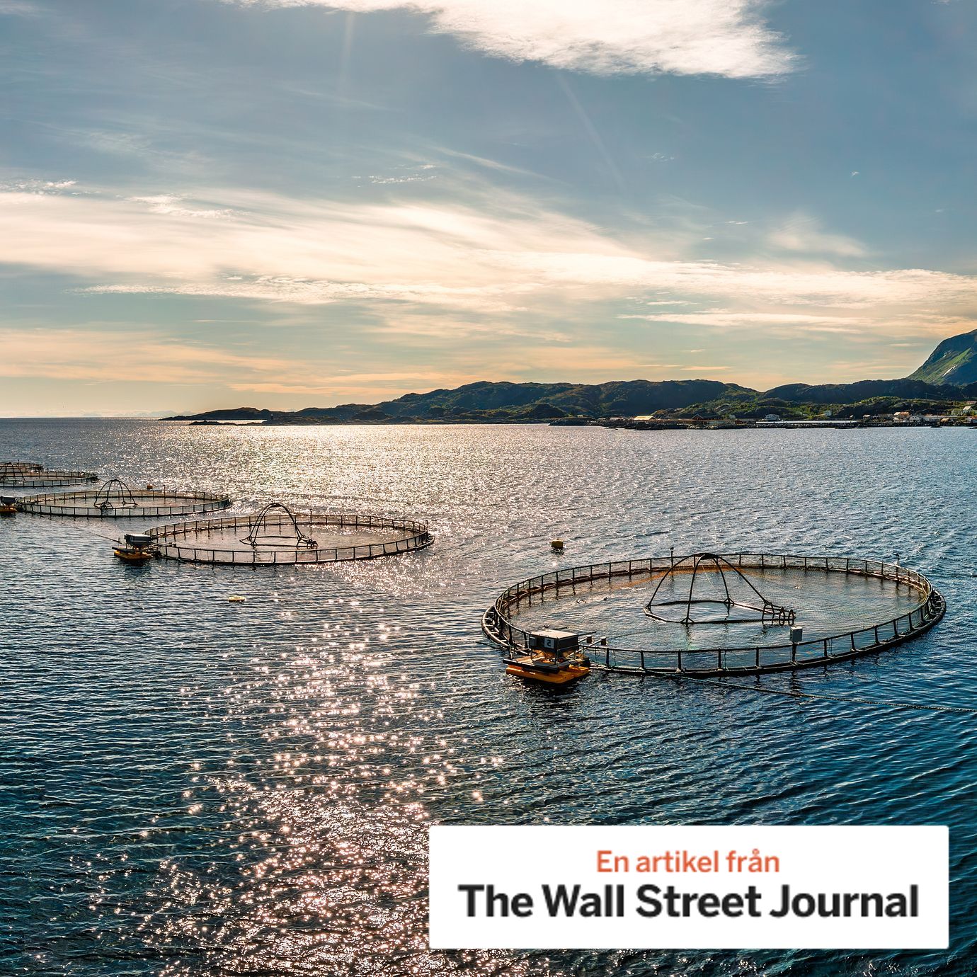 File photo showing salmon farms in Norway.