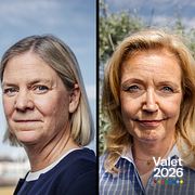 Nooshi Dadgostar, Magdalena Andersson, Elisabeth Thand Ringqvist och Simona Mohamsson är alla potentiella förlorare om det blir ett extraval.