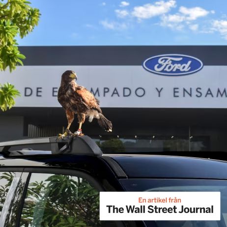Ford said El Charro has logged more than 300 flights, achieving a roughly 80% reduction in bird activity.